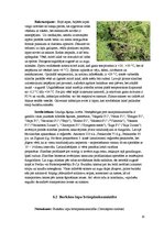 Konspekts 'Burkāni', 10.