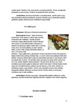 Konspekts 'Burkāni', 12.