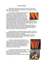 Konspekts 'Burkāni', 14.