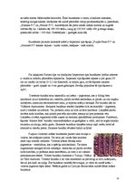 Konspekts 'Burkāni', 15.