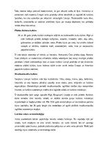 Referāts 'Kultūra latvijā 20. gadsimta 20.–40. gados', 12.