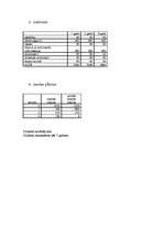 Konspekts 'Projekts bērnu pilsētiņā', 2.