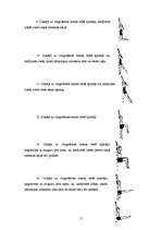 Referāts 'Vingrojumi muguras muskulatūras nostiprināšanai', 15.