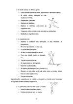 Referāts 'Vingrojumi muguras muskulatūras nostiprināšanai', 21.