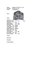 Referāts 'Kalnu divriteņi jeb MTB', 12.