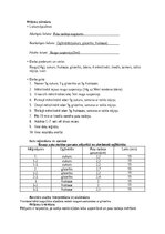 Paraugs 'Rauga šūnu elpošanas intensitātes maiņa atkarībā no ogļhidrāta', 2.