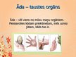 Prezentācija 'Cilvēka maņu orgāni', 9.