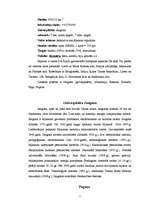 Referāts 'Mjanma', 2.