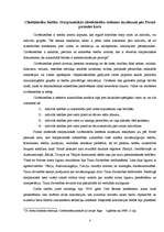 Referāts 'Cilvēktiesību aizsardzības sistēma', 3.