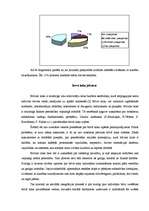 Referāts 'Cilvēki ar kustības traucējumiem un vides pieejamība Latvijā', 26.