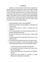 Konspekts 'Attīstības stadija organizācijā', 1.