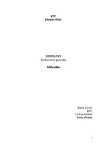 Referāts 'Mīlestība', 1.