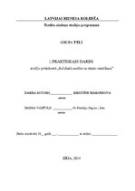 Konspekts 'Juridisko dokumentu projekti', 1.