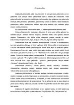 Prakses atskaite 'Prakses atskaite SIA "Baltijas sveces"', 9.