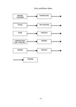 Prakses atskaite 'Prakses atskaite SIA "Baltijas sveces"', 16.