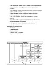 Diplomdarbs 'Mārketinga plānošanas nozīme uzņēmuma attīstībā', 19.