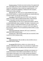 Diplomdarbs 'Mārketinga plānošanas nozīme uzņēmuma attīstībā', 28.