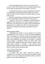 Diplomdarbs 'Mārketinga plānošanas nozīme uzņēmuma attīstībā', 32.