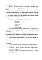 Diplomdarbs 'Mārketinga plānošanas nozīme uzņēmuma attīstībā', 38.