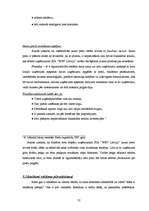 Diplomdarbs 'Mārketinga plānošanas nozīme uzņēmuma attīstībā', 52.