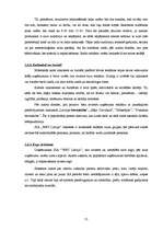 Diplomdarbs 'Mārketinga plānošanas nozīme uzņēmuma attīstībā', 55.