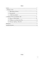 Referāts 'Vladimira Putina Krievija', 3.