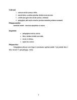 Referāts 'Pieaugušie kā bērnu sociālo prasmju sekmētāji pirmsskolas vecumā', 4.