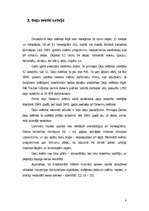 Referāts 'Deju svētki - latviešu tautas kultūras bagātība', 6.