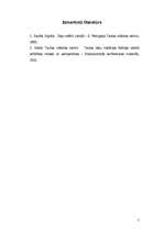 Referāts 'Deju svētki - latviešu tautas kultūras bagātība', 7.