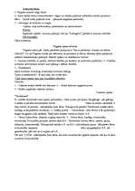 Referāts 'Rihards Vāgners', 2.