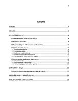 Referāts 'Konkurētspējas paaugstināšanas projekts', 3.