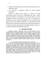 Referāts 'Konkurētspējas paaugstināšanas projekts', 10.