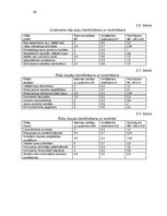 Referāts 'Konkurētspējas paaugstināšanas projekts', 32.