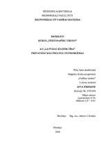 Referāts 'A/s "Latvijas kuģniecība" privatizācijas process un problēmas', 1.