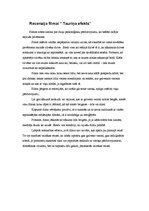 Eseja 'Recenzija filmai "Tauriņa efekts"', 1.