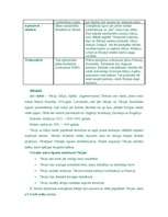 Konspekts 'Otrā pasaules kara pirmais posms', 3.