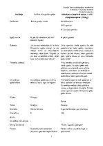 Konspekts 'Antīko un mūsdienu olimpisko spēļu salīdzinājums', 1.