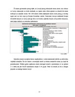 Biznesa plāns 'Naktskluba biznesa plāns', 13.