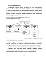 Biznesa plāns 'Naktskluba biznesa plāns', 27.