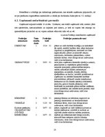 Biznesa plāns 'Naktskluba biznesa plāns', 28.