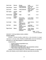 Biznesa plāns 'Naktskluba biznesa plāns', 30.