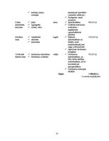 Biznesa plāns 'Naktskluba biznesa plāns', 32.