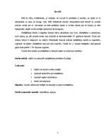 Referāts 'Smēķēšana', 3.