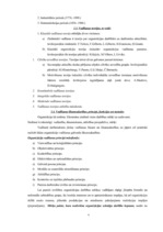 Konspekts 'Uzņēmējdarbība', 4.