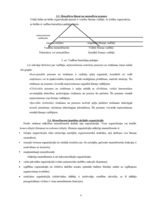 Konspekts 'Uzņēmējdarbība', 8.