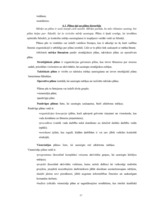 Konspekts 'Uzņēmējdarbība', 17.