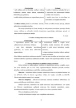 Konspekts 'Uzņēmējdarbība', 23.