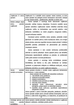 Prakses atskaite 'Personāla atlases un novērtēšanas projekts', 10.