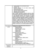 Prakses atskaite 'Personāla atlases un novērtēšanas projekts', 16.