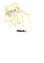 Referāts 'Zirnekļi', 1.